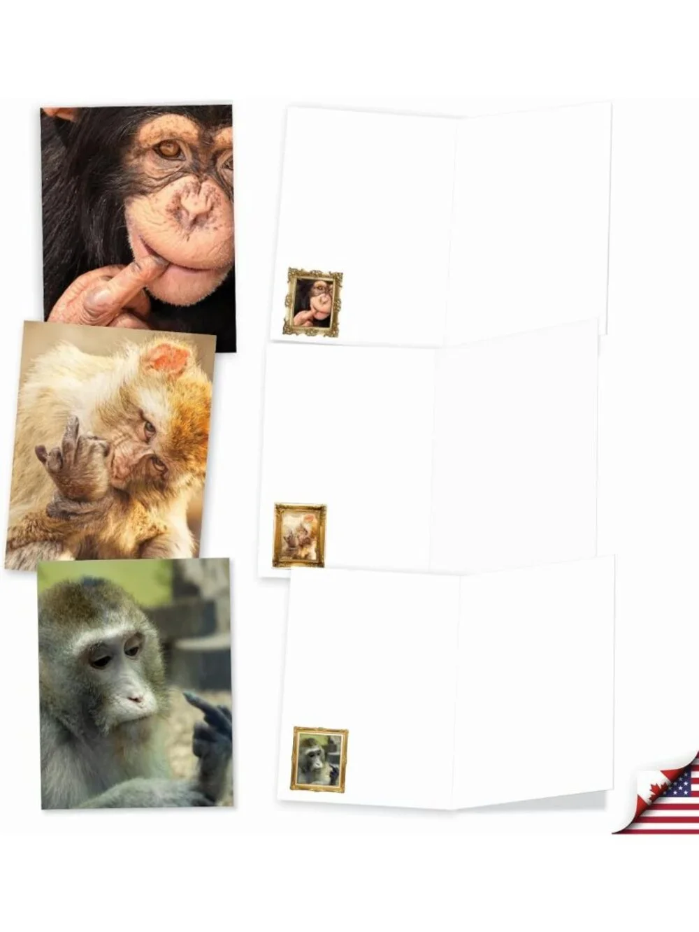 20 Blank Note Cards with Envelopes - All Occasion Animal Assortment (10 Designs)